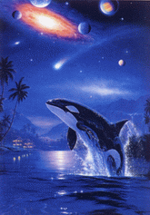 baleine
